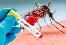 Photo of En la provincia de Santa Fe hay 1.038 casos confirmados de dengue