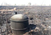Photo of ASSA denunció daños en sus instalaciones por la quema de pastizales