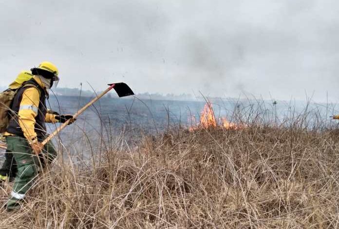 Photo of Darán reportes diarios sobre los incendios en Argentina