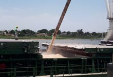 Photo of El Puerto de Santa Fe ya exportó más de 50 mil toneladas de maíz