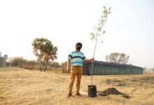 Photo of El Gobierno plantó más de 5 mil árboles para “luchar contra el cambio climático”