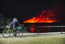 Photo of Por las quemas, se llevan adelante unos 140 procesos administrativos sancionatorios