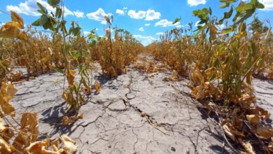 Photo of Abrió la reinscripción para productores afectados por la sequía