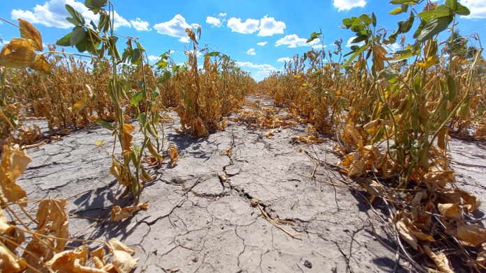 Photo of Se homologó la prórroga de la Emergencia Agropecuaria por sequía en todo el territorio santafesino