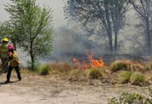 Photo of Nuevo incendio forestal en Córdoba: hay alerta por riesgo extremo hasta el miércoles