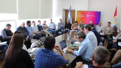 Photo of Provincia trabaja para fortalecer la sanidad y potenciar el desarrollo de la ganadería en la región