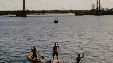 Photo of Se pone en marcha la segunda edición de la Semana de la Laguna