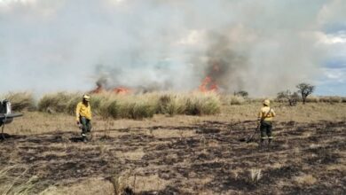 Photo of Brigadistas trabajan para controlar incendio en Cacique Ariacaiquín