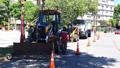 Photo of Comenzaron las obras en el cantero central de Avenida J.J. Paso