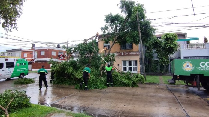 Photo of Rosario: caída de árboles por el viento afectó el tendido eléctrico